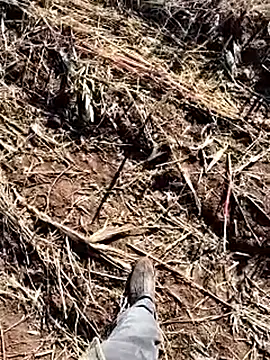 murokkk31 online show from December 2025 08:42:01 AM