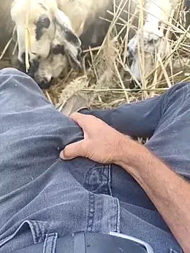 murokkk31 online show from October 2025 09:30:02 AM