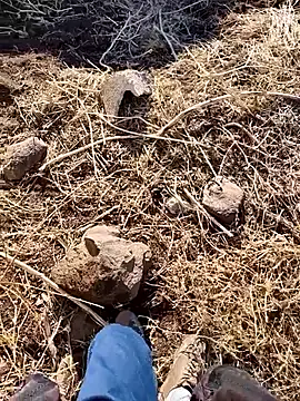 murokkk31 online show from December 2025 06:25:02 AM