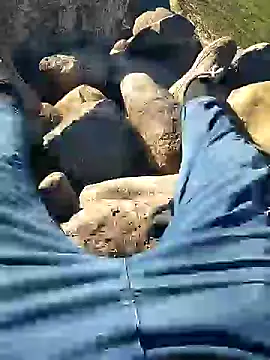 murokkk31 online show from January 2025 07:46:02 AM