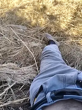 murokkk31 online show from October 2025 08:26:01 AM