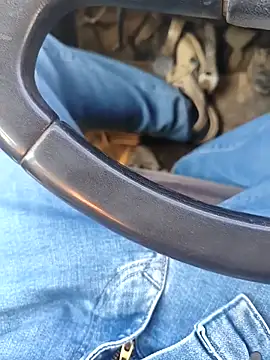 murokkk31 online show from January 2026 08:31:02 AM