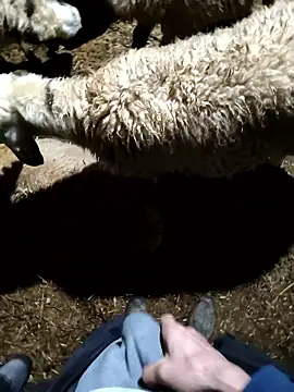 murokkk31 online show from January 2026 11:33:02 PM