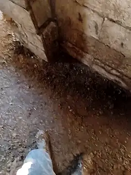 murokkk31 online show from January 2026 07:12:01 AM