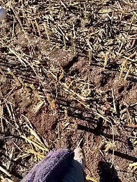 murokkk31 online show from December 2025 09:36:02 AM