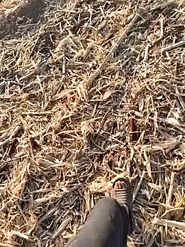 murokkk31 online show from September 2025 01:50:01 PM