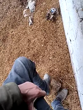 murokkk31 online show from November 2025 12:42:02 PM