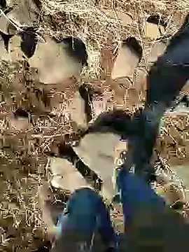 murokkk31 online show from January 2025 09:15:02 AM