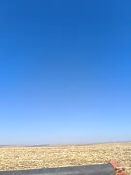 murokkk31 online show from October 2025 08:16:01 AM