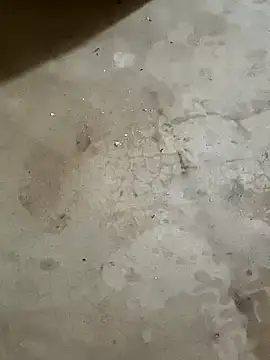 samriyat online show from October 2025 04:45:02 AM