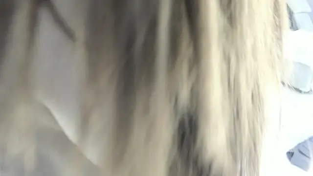 Snapshot of celestica_rose chatting on February 2026 10:31:01 PM celestica rose online show from February 2026 10:31:01 PM