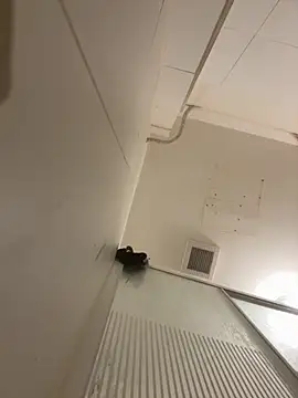 Pablo666666 hot online show from March 2026 07:38:01 PM