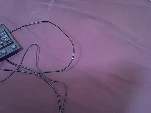 tasty piee online show from February 2026 01:33:02 PM