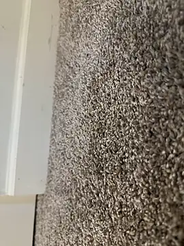 Big-dick 1 online show from December 2024 03:20:02 PM