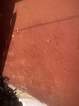 Moorella1 online show from February 2026 08:02:02 AM