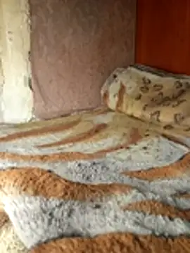 Holly Bette online show from March 2026 06:35:01 PM