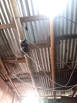 Alanagracia online show from November 2025 12:20:01 PM