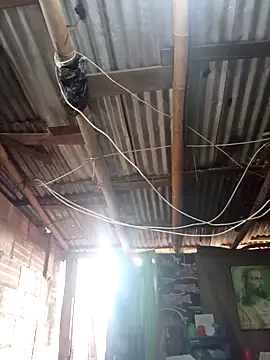 Alanagracia online show from November 2025 11:24:01 AM