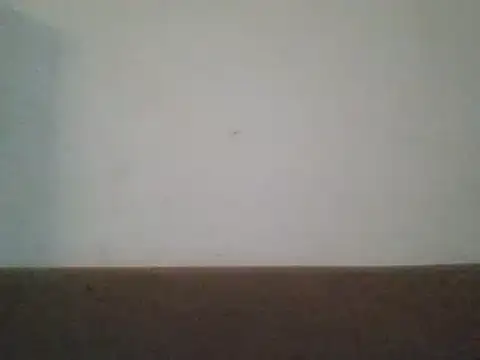 SmallGoodNutts online show from February 2025 07:40:01 AM