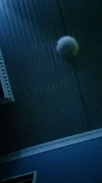 Dickey sa online show from February 2026 08:31:01 PM