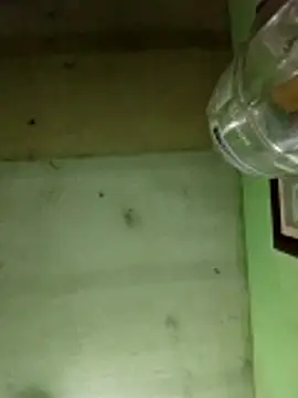 Snapshot of Alonsomadeira chatting on December 2025 06:07:02 AM Alonsomadeira online show from December 2025 06:07:02 AM