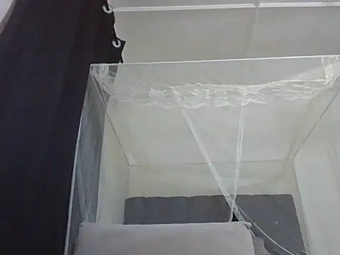 mummie Nasty254 online show from November 2025 09:57:02 PM