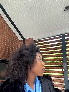 Dime-   online show from November 2025 11:15:02 AM