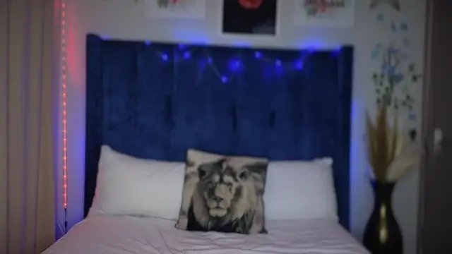 Dime-   online show from November 2025 08:20:01 PM