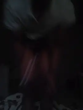 wlammi ptr online show from April 2026 04:36:02 AM