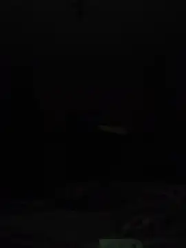 wlammi ptr online show from September 2025 12:22:02 AM