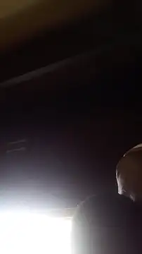 wlammi ptr online show from December 2025 10:06:01 AM