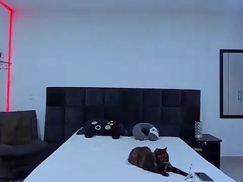 Alexander Martines online show from January 2026 11:31:02 PM