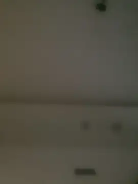 Damarr1 online show from May 2026 03:58:02 AM