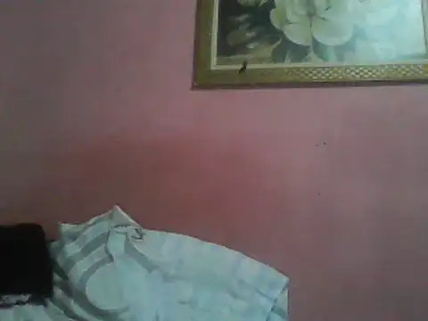 Bonecagulosa online show from June 2026 08:57:02 PM