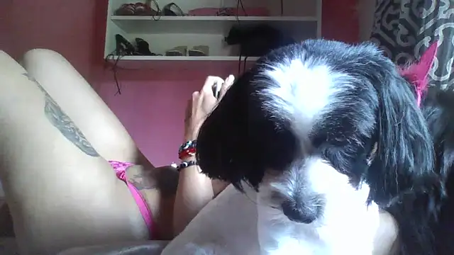 Snapshot of Bonecagulosa chatting on November 2025 04:00:01 PM Bonecagulosa online show from November 2025 04:00:01 PM