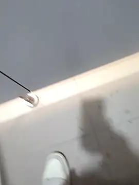 publicsir online show from November 2025 03:45:01 PM