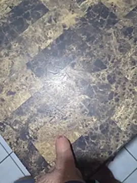 publicsir online show from March 2026 06:00:02 AM