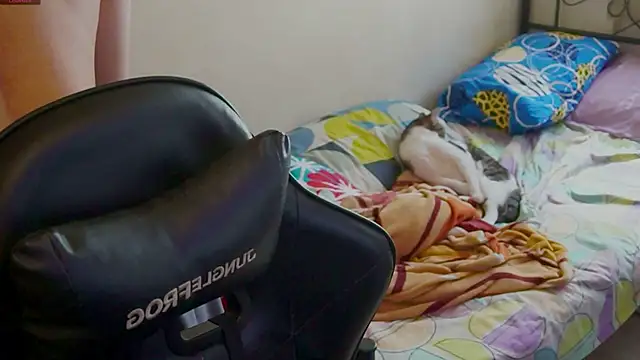 Snapshot of xofix chatting on September 2025 08:03:02 PM xofix online show from September 2025 08:03:02 PM