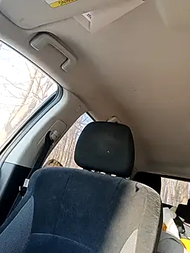 otterlover123 online show from February 2026 09:34:02 PM