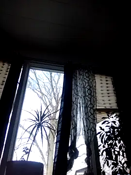 otterlover123 online show from December 2024 07:00:02 PM