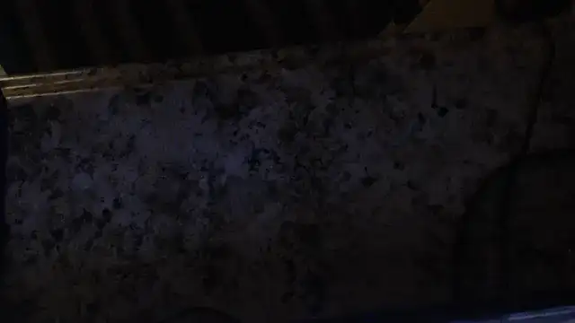 joeydee1 online show from February 2025 03:06:02 AM