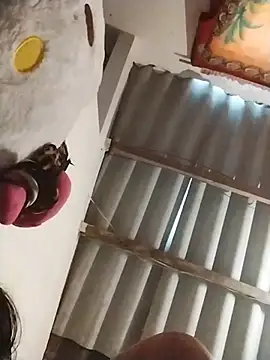 AlexaWarner online show from November 2025 04:00:01 PM