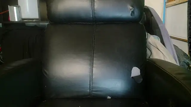 Snapshot of Gigadickman chatting on January 2025 06:56:02 PM Gigadickman online show from January 2025 06:56:02 PM