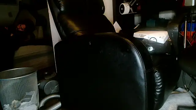 Snapshot of Gigadickman chatting on January 2025 02:54:02 AM Gigadickman online show from January 2025 02:54:02 AM