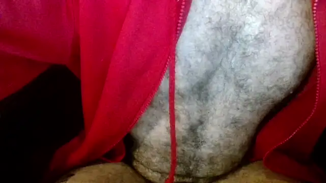 Snapshot of Gigadickman chatting on January 2025 08:24:02 AM Gigadickman online show from January 2025 08:24:02 AM