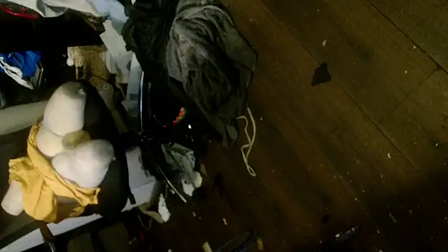 Snapshot of Gigadickman chatting on January 2025 05:19:02 AM Gigadickman online show from January 2025 05:19:02 AM