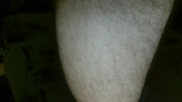 Snapshot of Gigadickman chatting on February 2025 01:30:02 AM Gigadickman online show from February 2025 01:30:02 AM