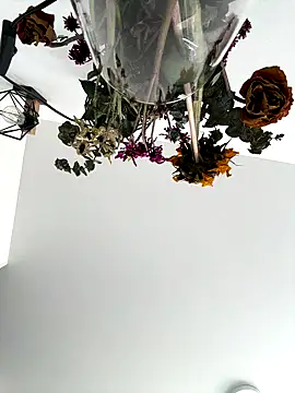 Snapshot of SofiaG_ chatting on October 2025 07:22:02 PM SofiaG online show from October 2025 07:22:02 PM