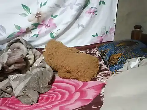 mdivah online show from November 2025 06:34:02 PM