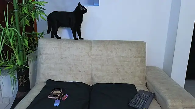 Lorenne Miller online show from March 2026 03:11:02 AM